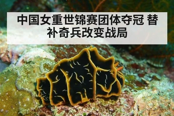 中国女重世锦赛团体夺冠 替补奇兵改变战局（kaiyun）